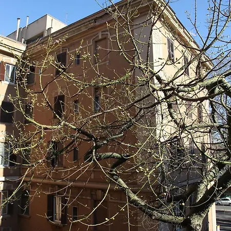 B&B T&v House 로마